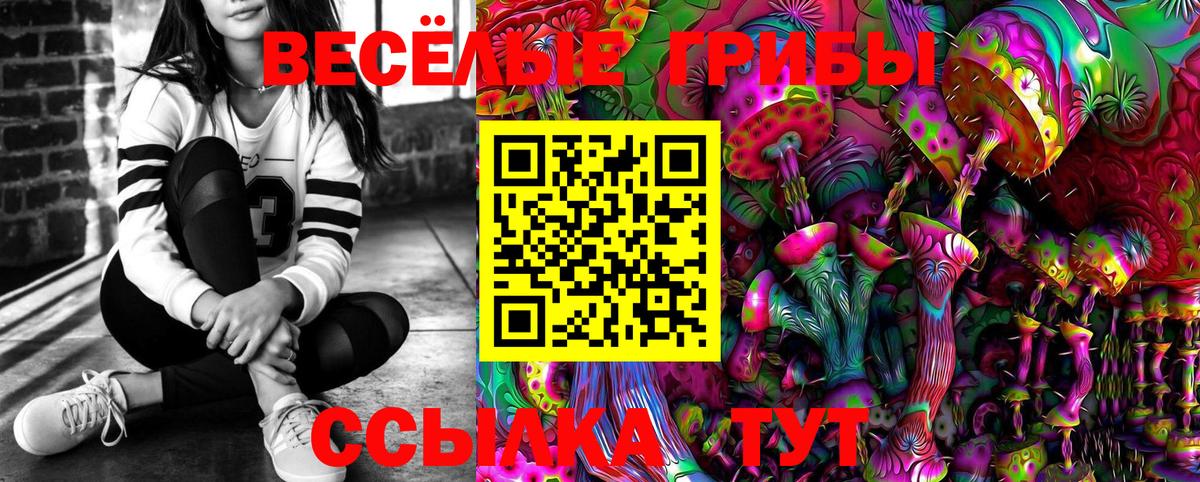 Галлюциногенные грибы Psilocybe Славянск-на-Кубани