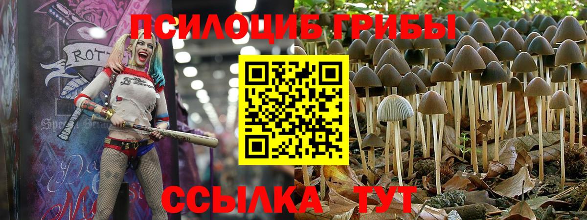 Псилоцибиновые грибы GOLDEN TEACHER  Галлюциногенные грибы Psilocybe  купить   Славянск-на-Кубани  Вход с VPN 