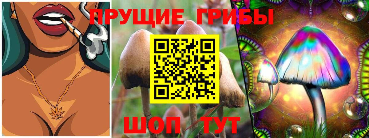  КОКАИН Славянск-на-Кубани